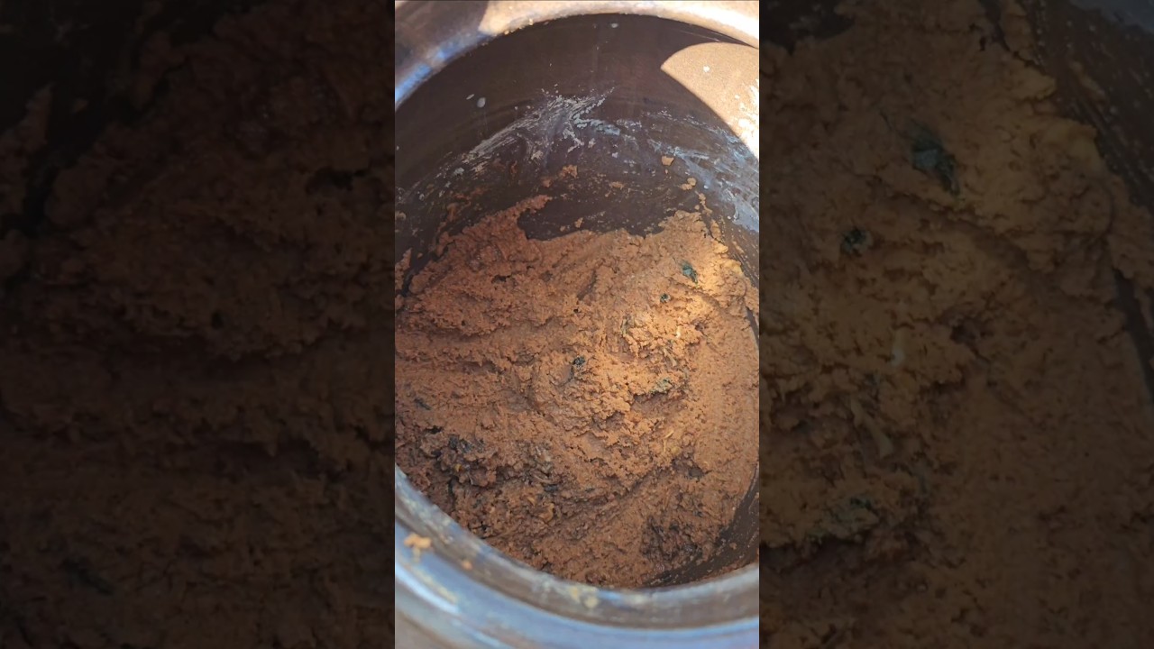 항아리 숙성 자연발효 집장