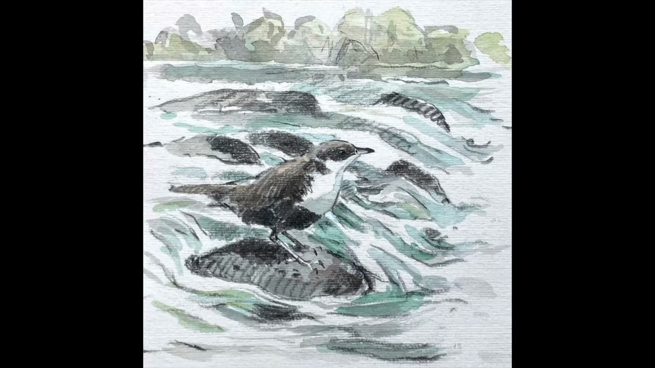 John Busby: nature journaling inspiration