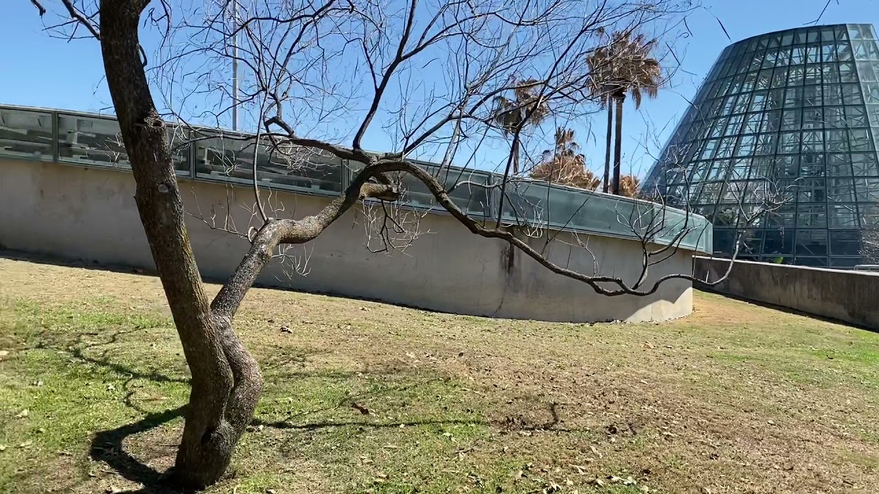 SAN ANTONIO BOTANICAL GARDEN