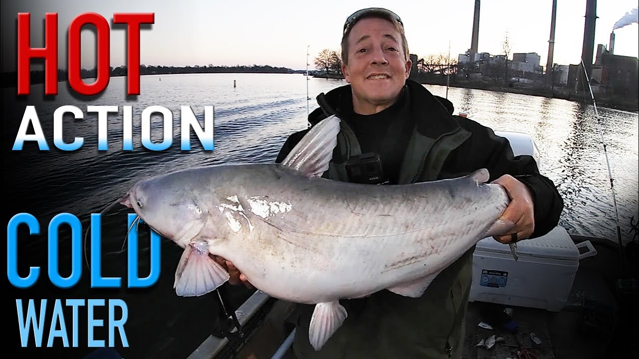 Cold Water Catfishing  (Winter Catfishing Power Plant Lakes How To)