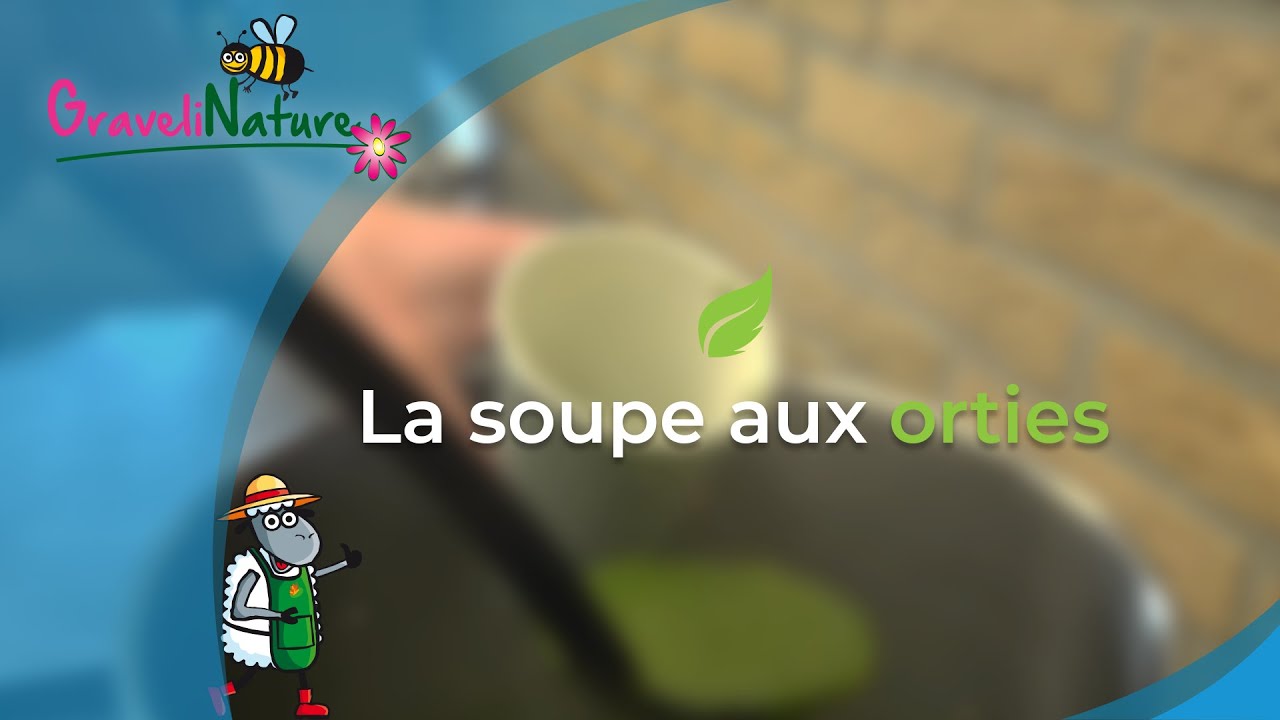La soupe aux orties