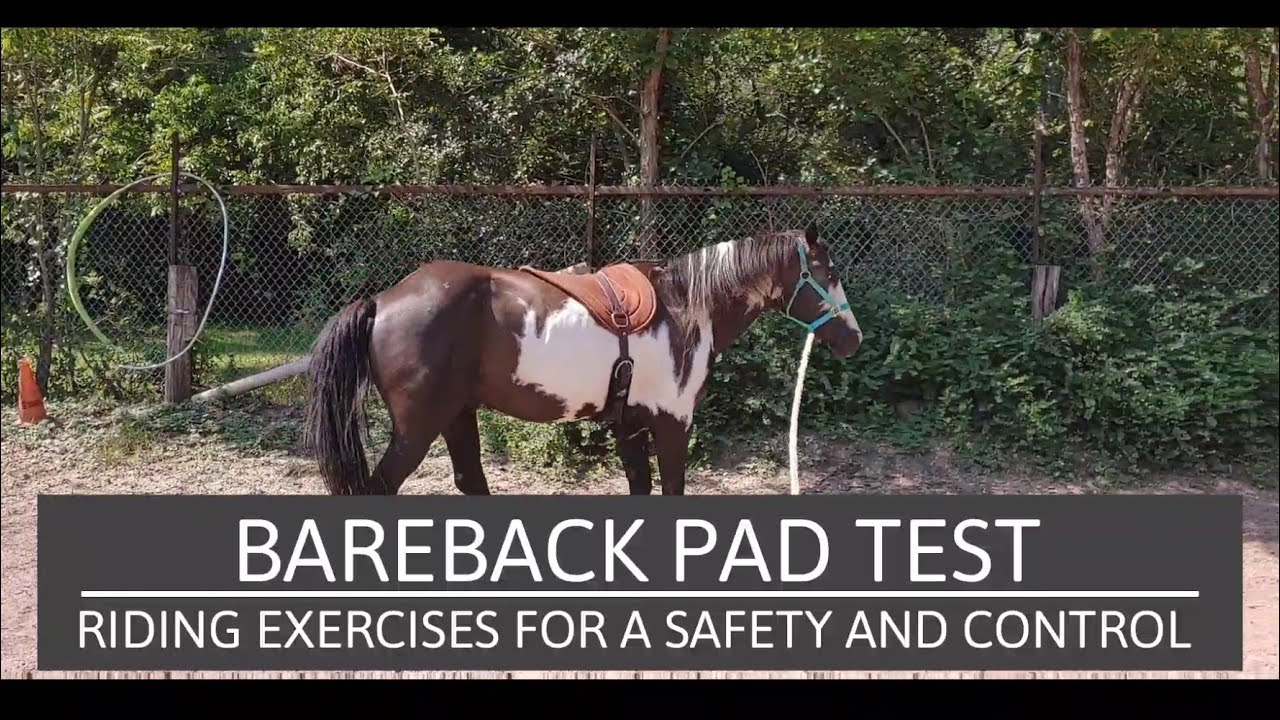 Bareback Pad with Western Girth and no stirrups test and riding exercises