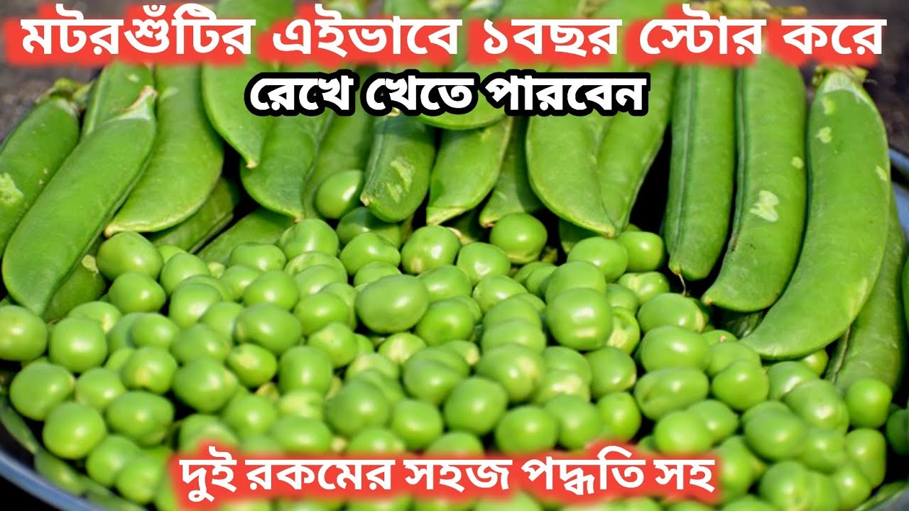ডিপ ফ্রিজ ছাড়া ২রকম পদ্ধতিতে ১বছর ধরে মটরশুঁটি এইভাবে সংরক্ষণ করে নিন।Preserve Green Peas at Home