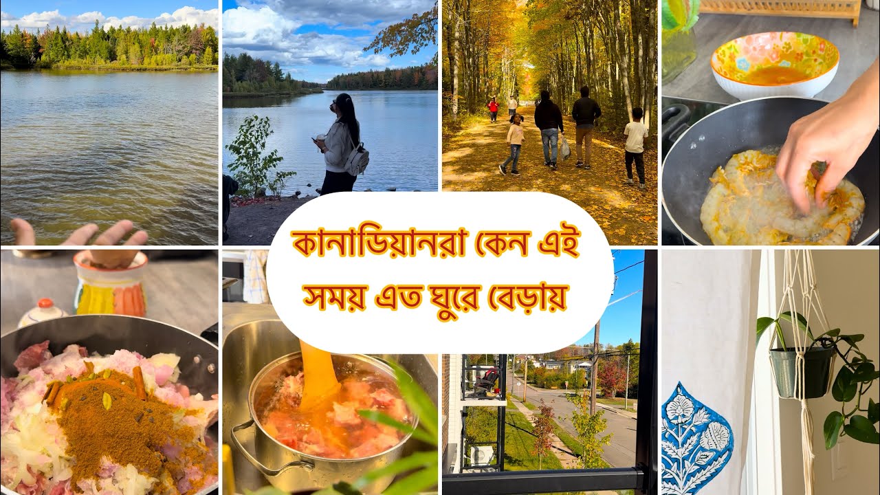 কানাডায় আজকে কোথায় ঘুরলাম || দুপুরের রান্নায় কি করলাম || Daily Vlog