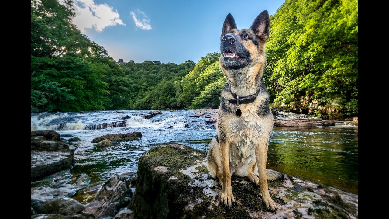 River Dart Walk