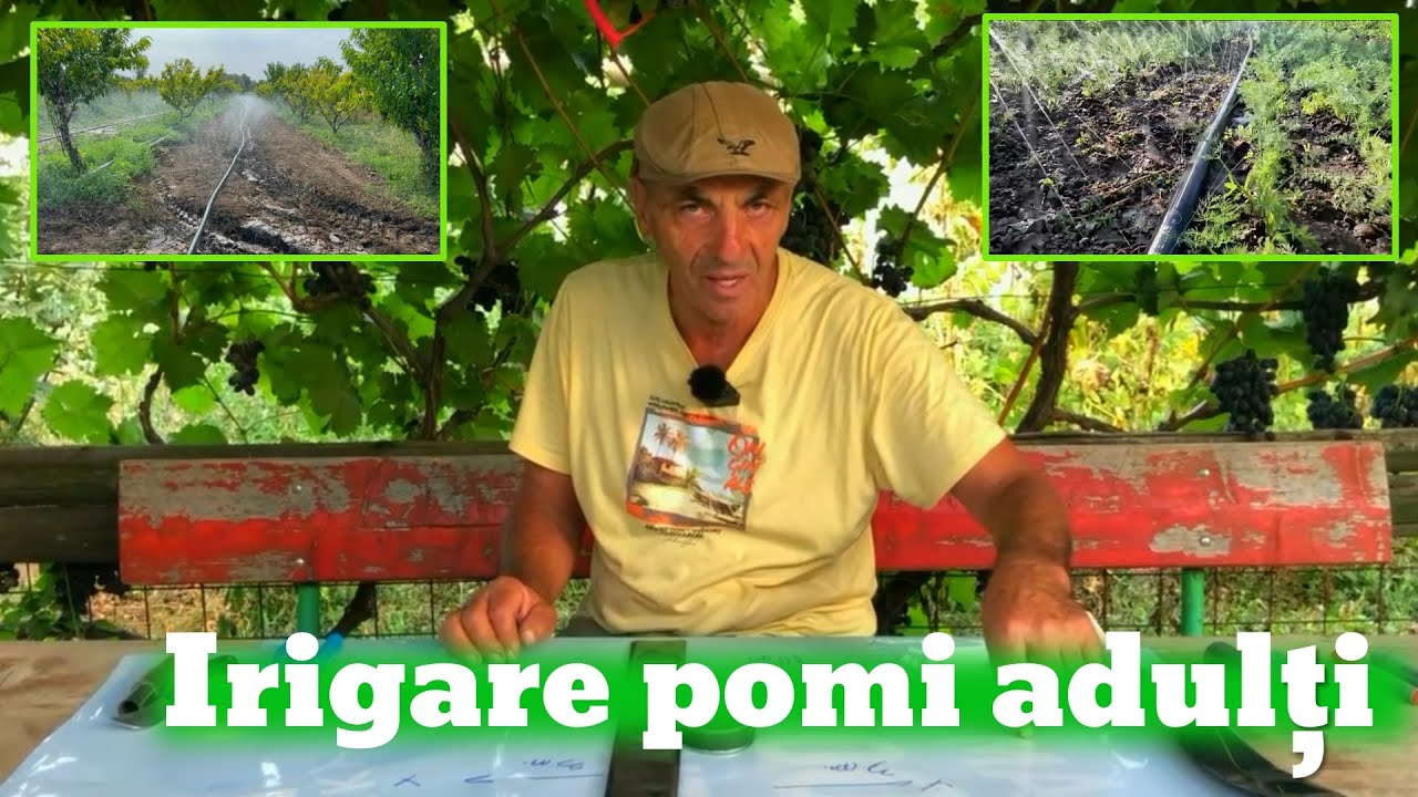 Cum este posibil să implementăm un sistem de irigare pentru pomii adulți? Simplu și ieftin!!!