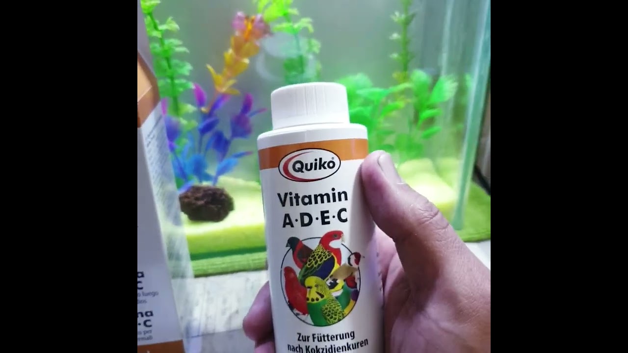 منتج Vitamen A.D.E.C من شركة كويكو الألمانية 🦜
