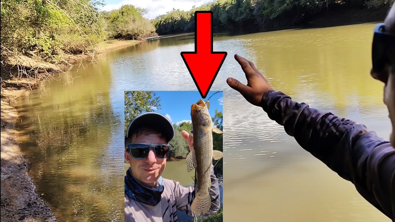 Como pescar traíra em rio/Rio dos Sinos SANTO ANTÔNIO DA PATRULHA/ é muita traíra aqui!