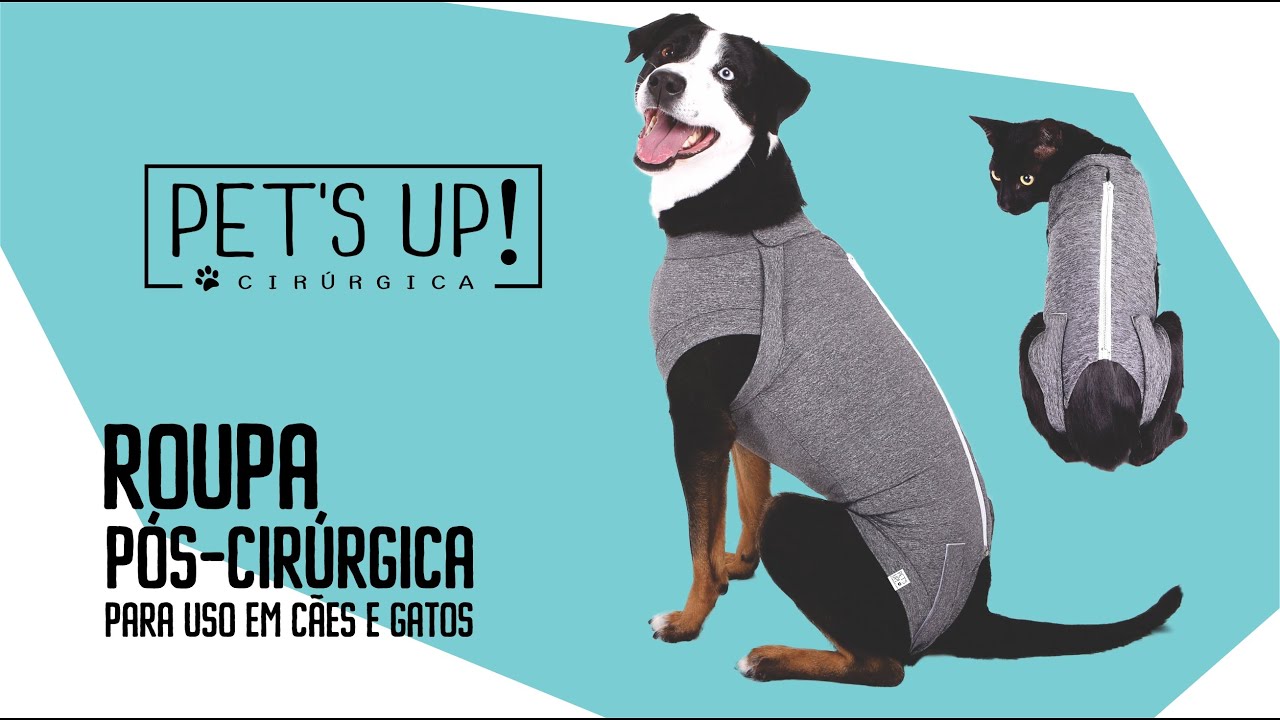 Roupas pós-cirúrgicas cães e gatos