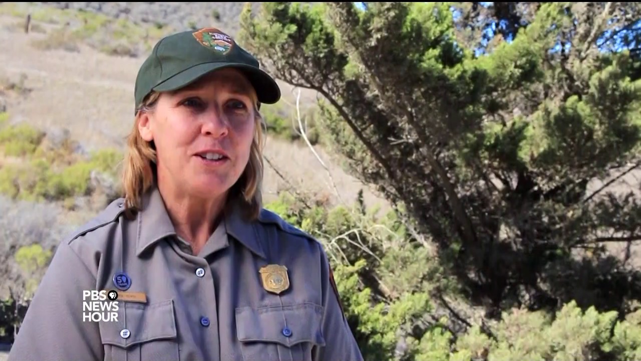How this remote national park made a mammoth discovery