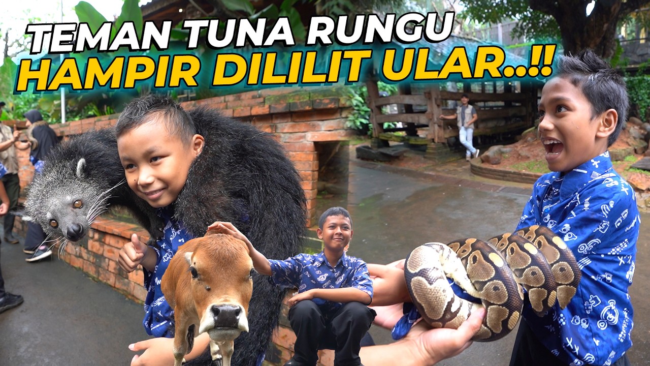 SEMUA HEWAN DEHAKIMS BERSAHABAT DENGAN TEMAN SLB..