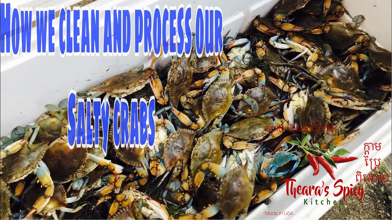 How we clean and process Salty Crabs
