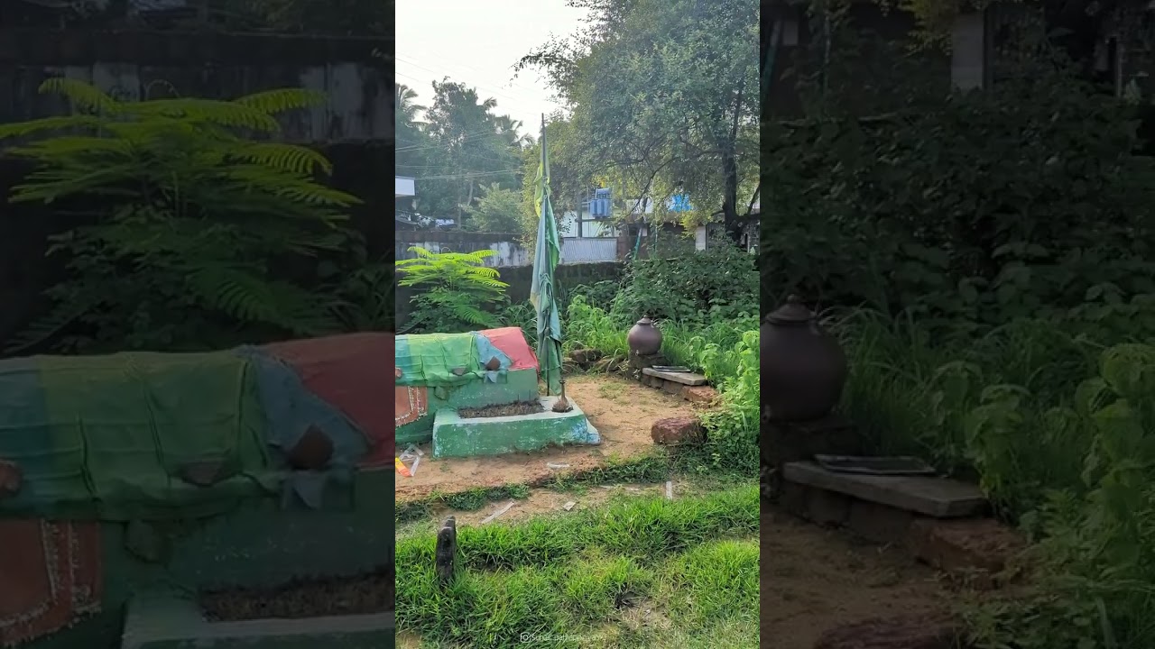 ശൈഖ്&zwnj; ജീലാനി(റ)യുടെ കുടുംബ പരമ്പരയില്&zwj; ജനിച്ച ശൈഖവര്&zwj;കള്&zwj;