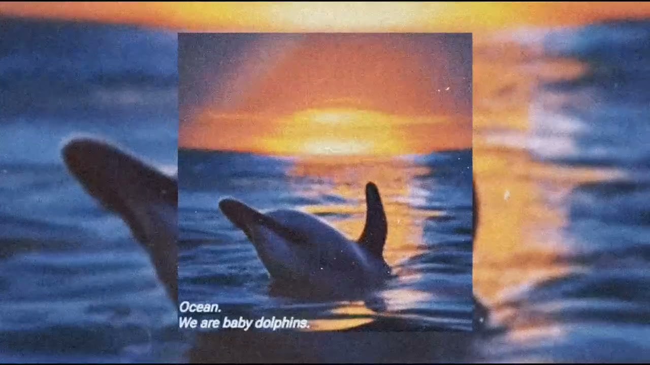 lonelay - baby dolphins