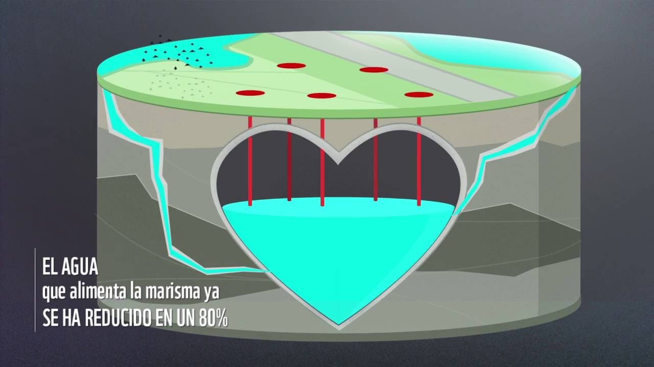 El corazón de Doñana se seca