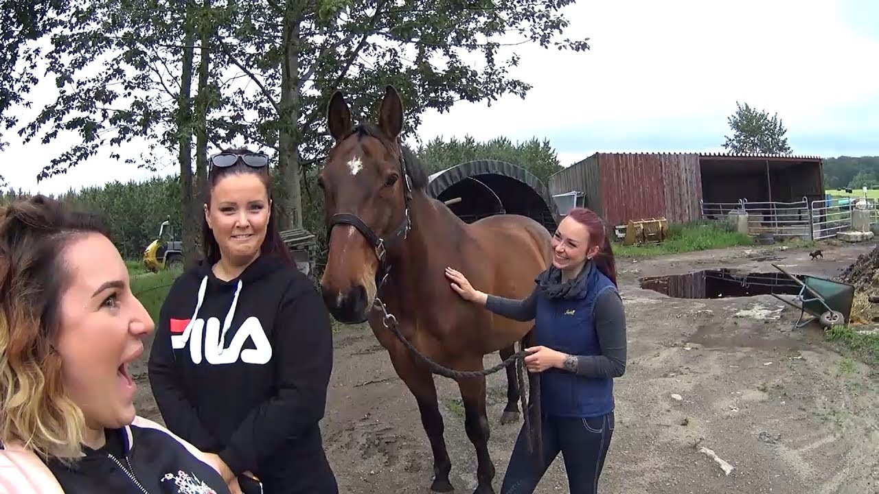 Josse & Moni testar- ATT RIDA!!