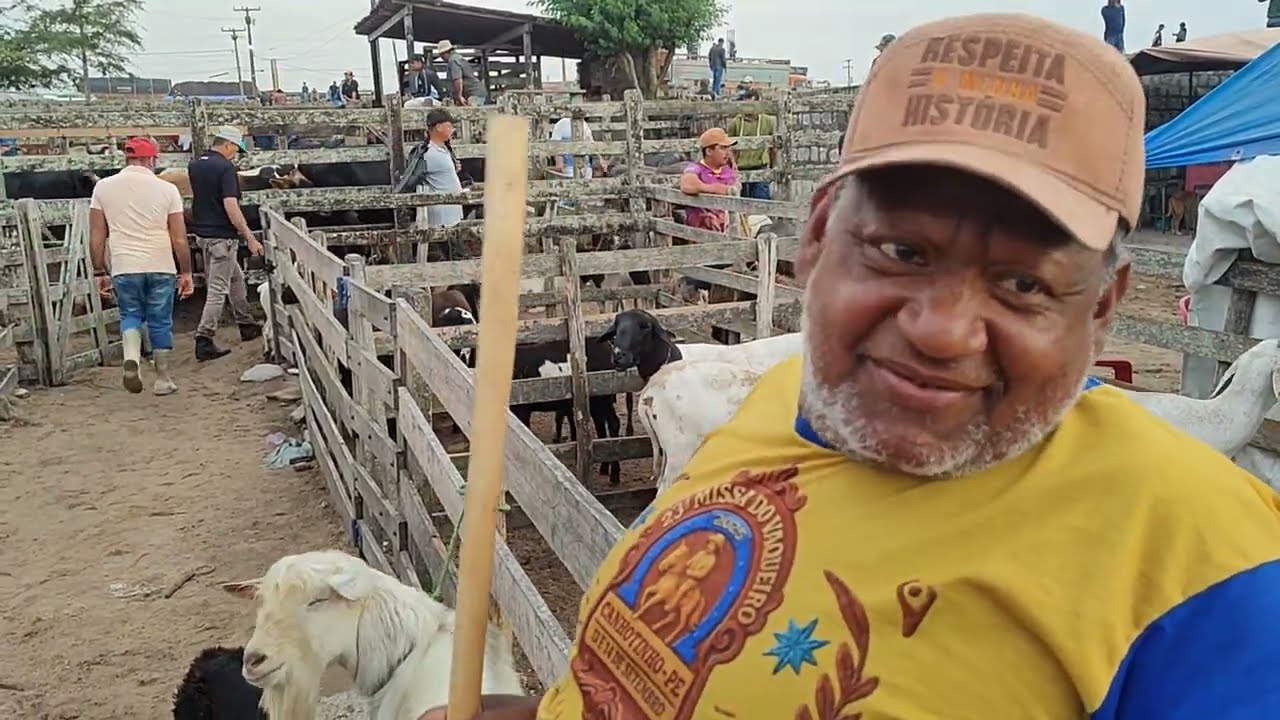 Feira de porco e ovino Capoeiras-PE 20/02/26