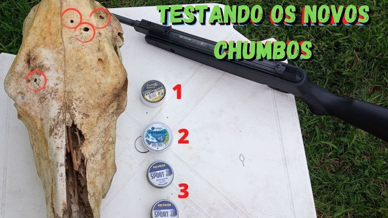 ROSSI SPORT-UP 5.5 , teste de potência e perfuração com novos chumbos