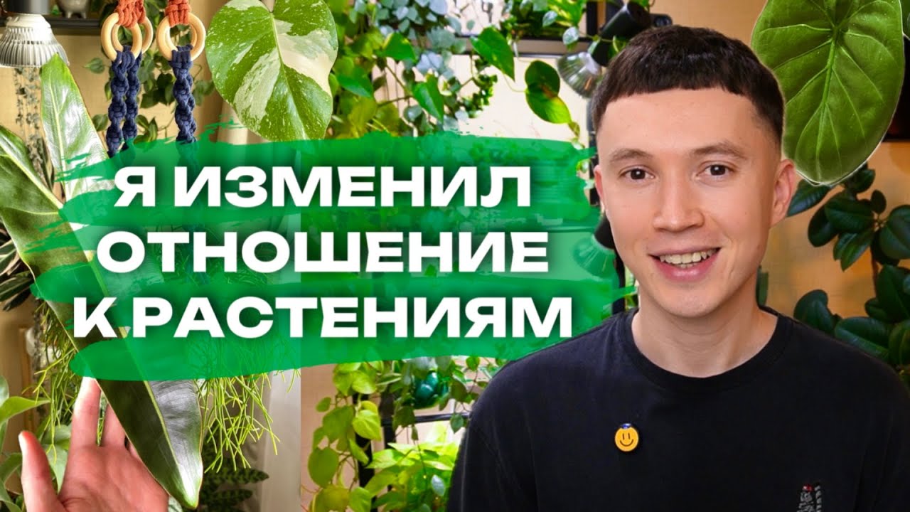 Меньше стресса и БОЛЬШЕ УДОВОЛЬСТВИЯ от Комнатных Растений » Мой подход и отношение