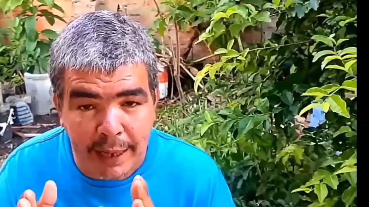 Fertilizantes caseiro do que as plantas se alimentam de verdade