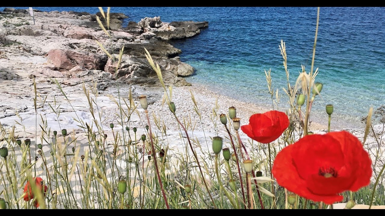 Aqua Beach Residence Žaborič popis lokality