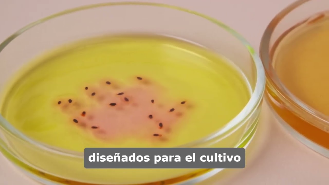 Fermentaciones Industriales: Procesos clave para la obtención de biomasa, metabolitos y enzimas.