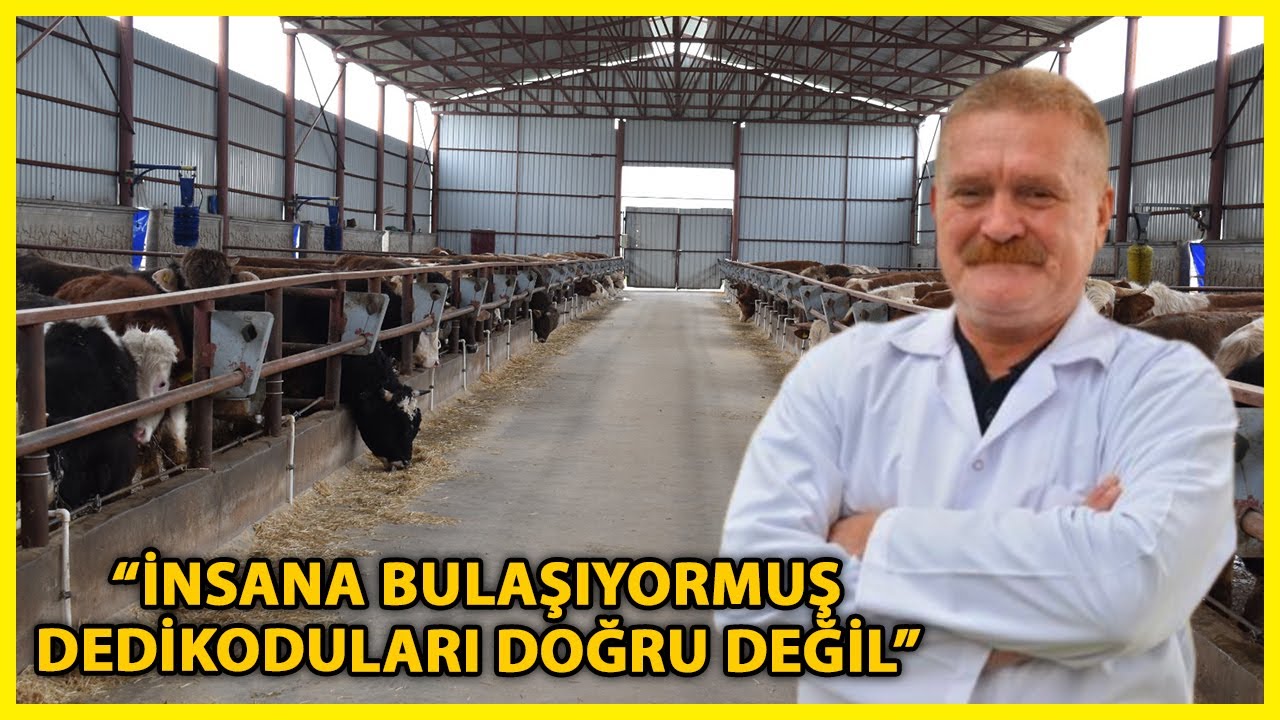 Adana Veteriner Hekimler Odası Başkanı: Şap ile Şarbonu Karıştırmayalım