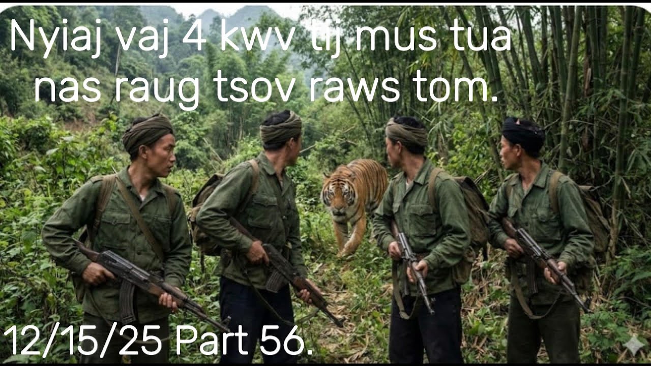 Nyiaj vaj lawv 4 kwv tij mus tua nas raug tsov raws tom txaus ntshai heev.