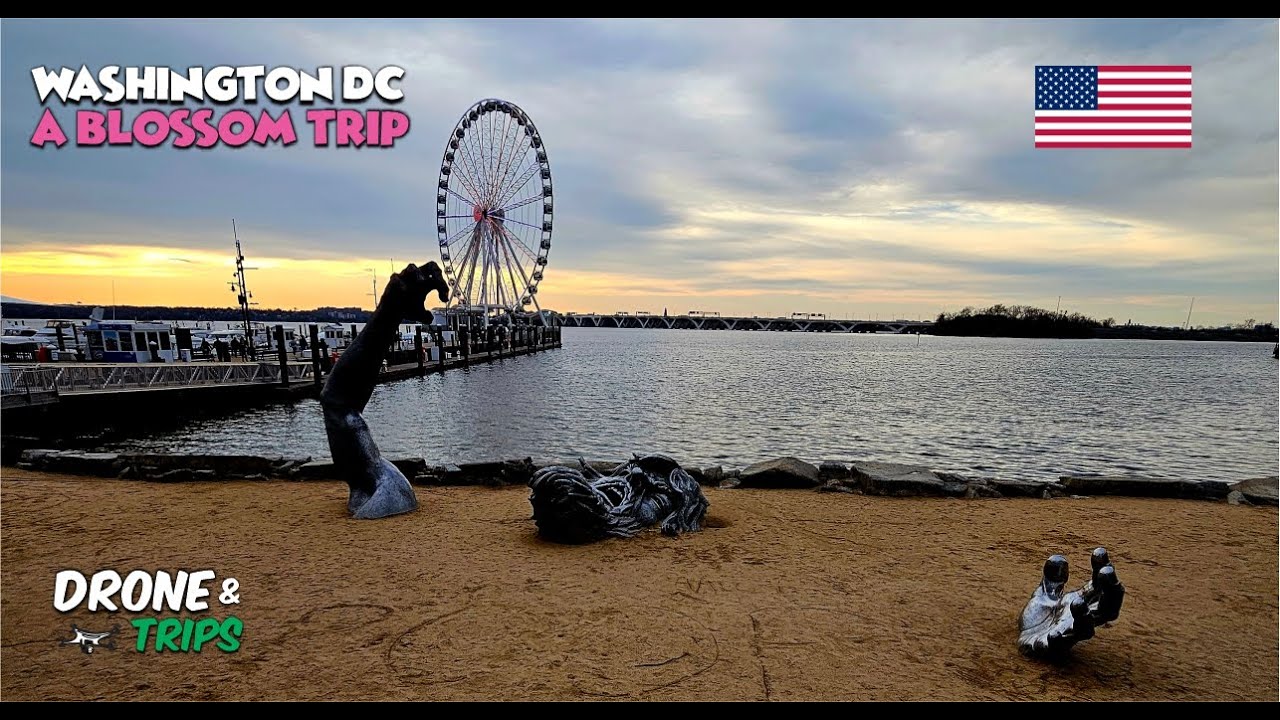 Washington - A Blossom Trip 4K [Drone&Trips]