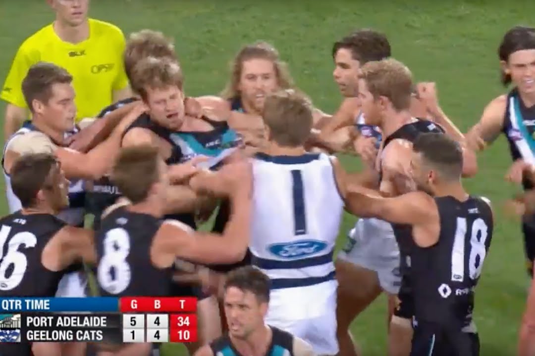 AFL Melees: Pies, Cats, Port, Dons, Demons and Tigers