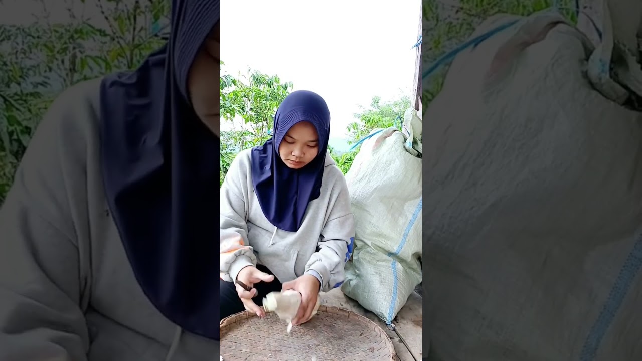 mencari rebung & masak  santan rebung di pondok ladang 