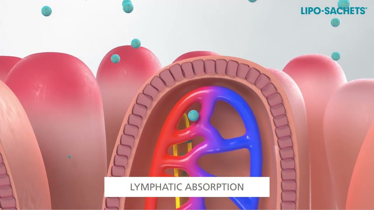 Lipo-Sachets - How Liposomal Technology Works