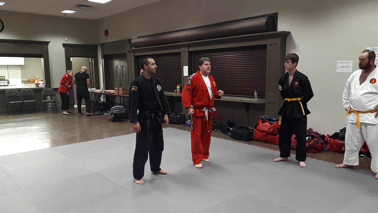 Shihan Mick Legg 1000 Islands Jiu-jitsu Symposium 10/14