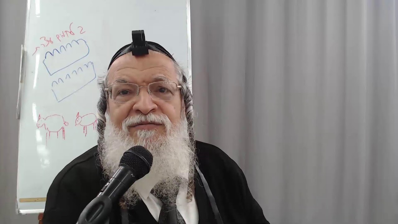 דף יומי מסכת מנחות דף יג ע