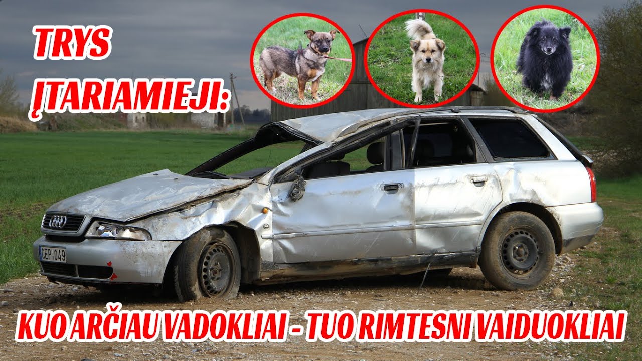 #21 KUO ARČIAU VADOKLIAI - TUO RIMTESNI VAIDUOKLIAI