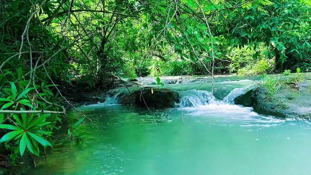 ASMR Waterfall Ambience 🌿 Relaxing Nature Sounds for Yoga, Meditation & Deep Sleep