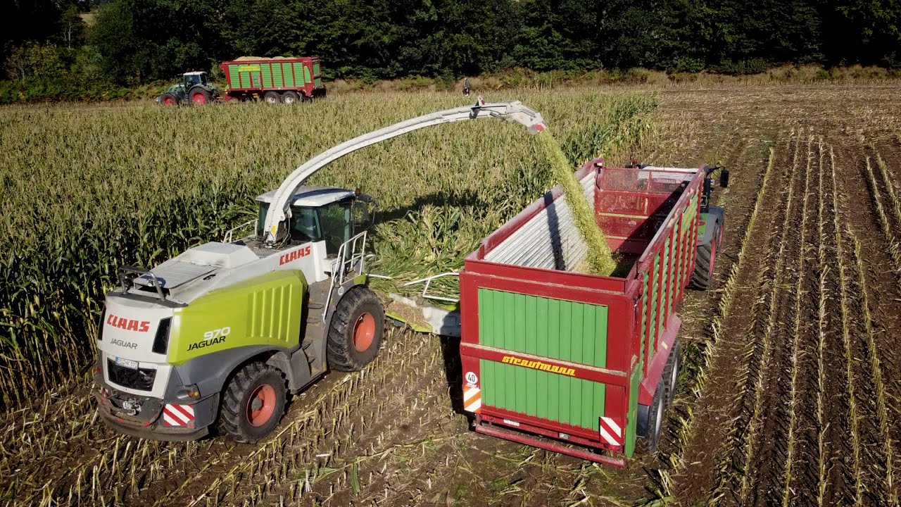 Maisernte 2022 in Schleswig-Holstein - BEST-OF (+ SOUND!)