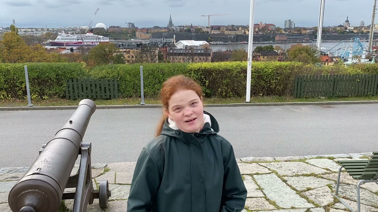 Paardengek in Stockholm 3