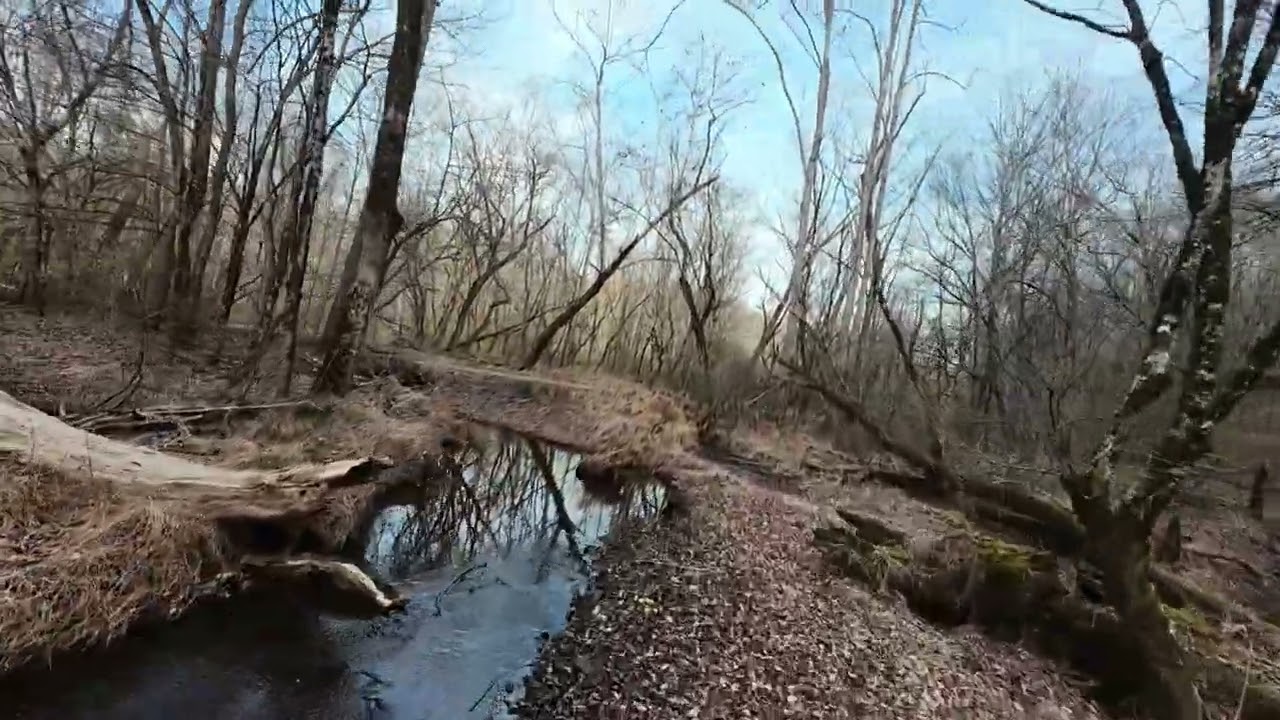 Exploring the mouth of the creek
