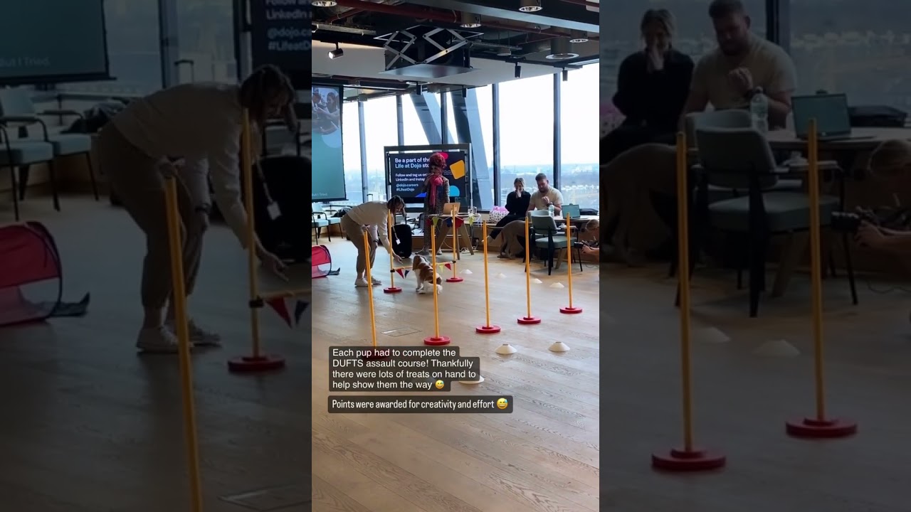 Dufts Doggy Talent Show - The Together Collective