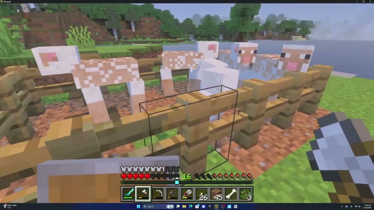 Minecraft