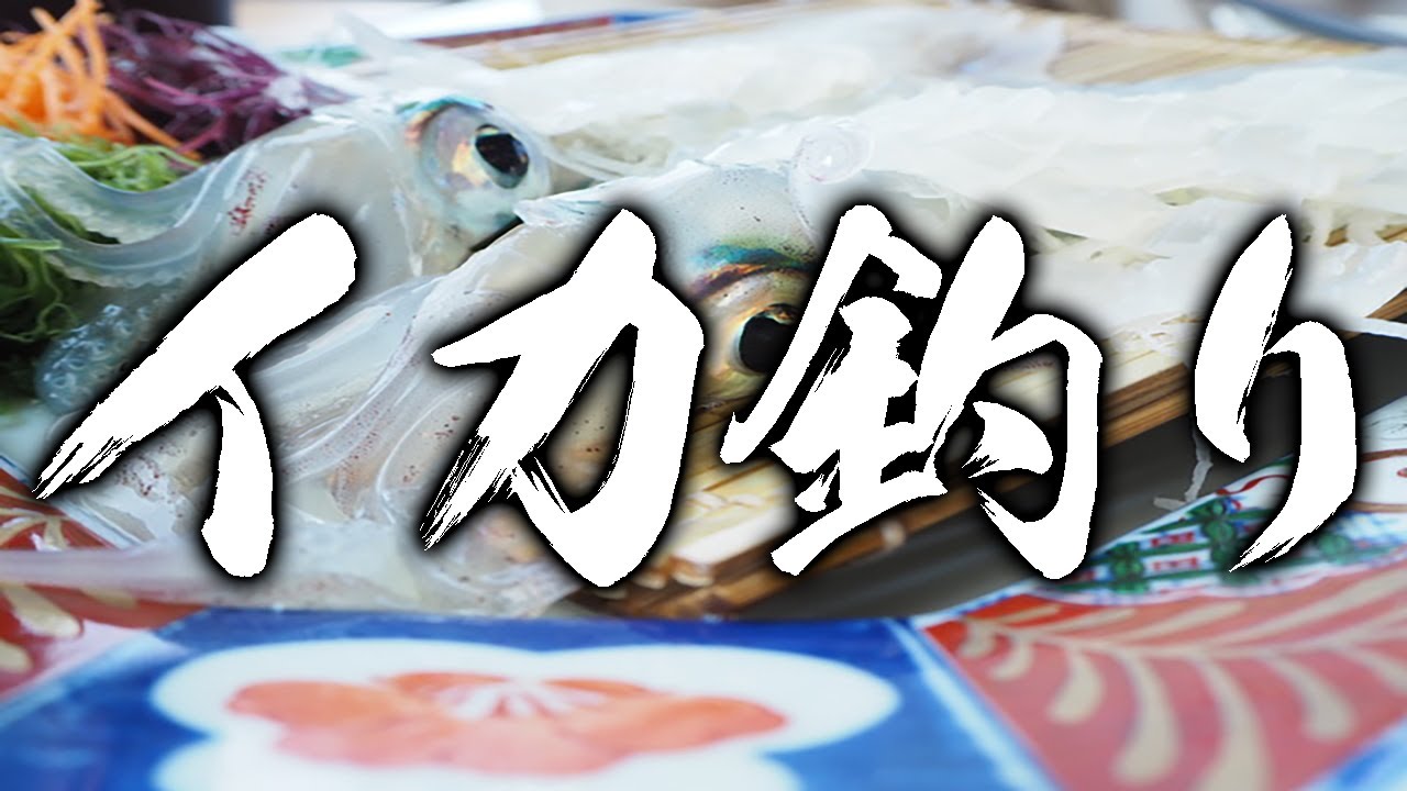 見たらイカを釣りに行きたくなる動画5選！！