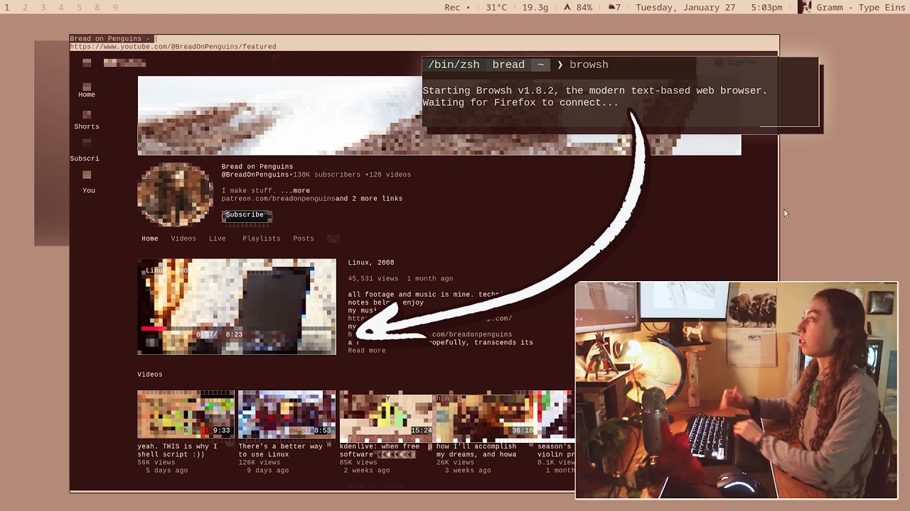 websites, in your TERMINAL