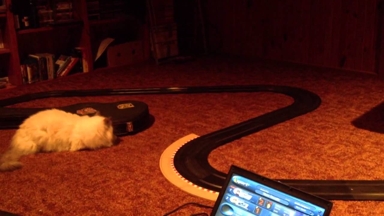 Cat vs Scalextric
