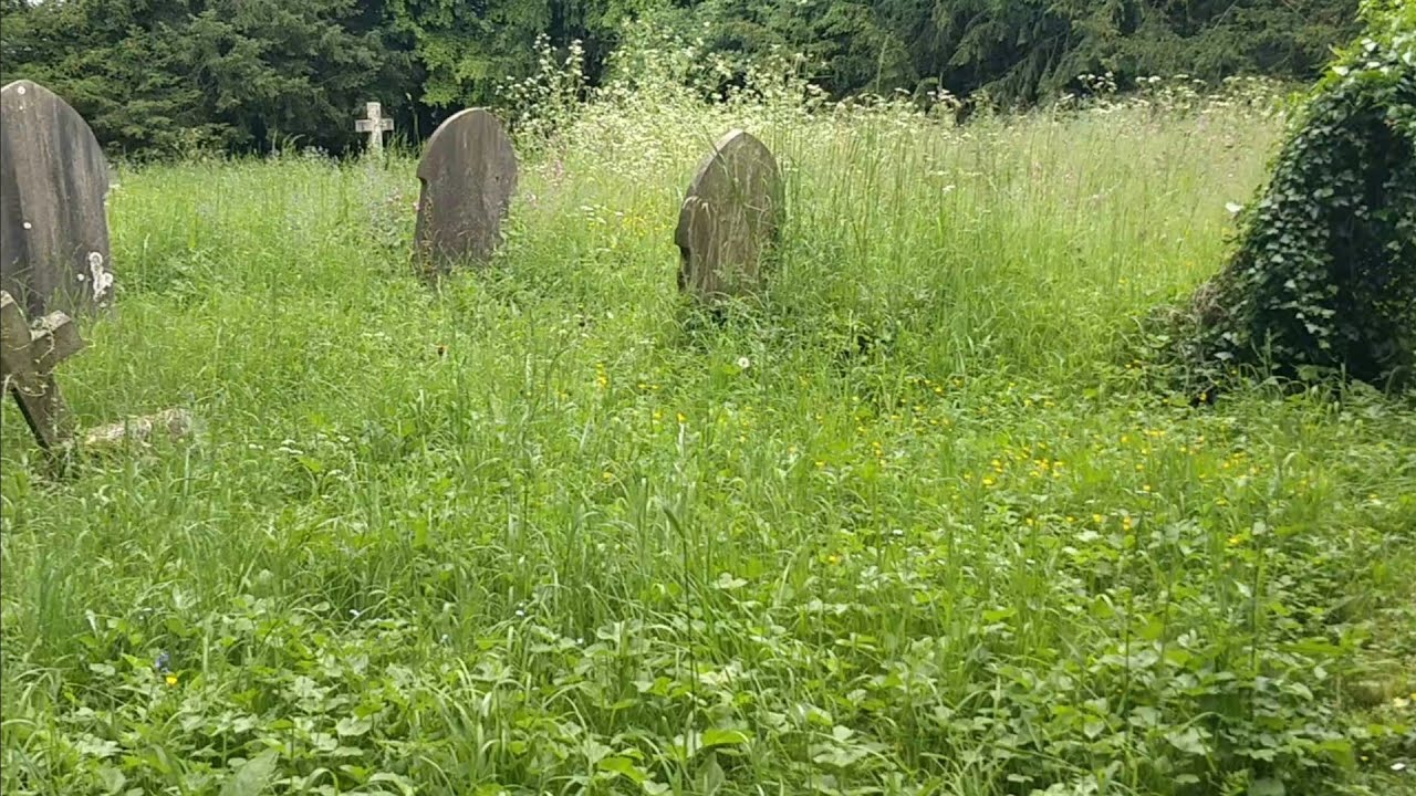 The Grand Union canal to Wolverton heading to Milton Keynes. Narrowboating around Britain cont.#508