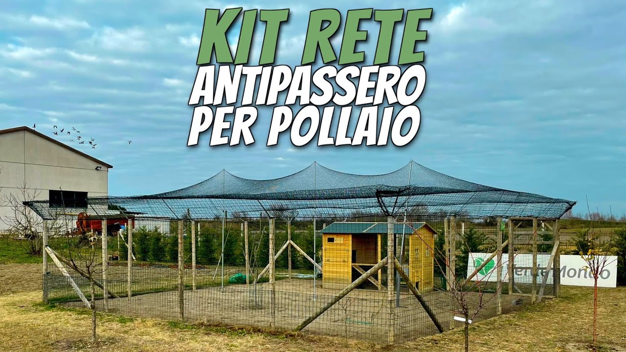 Kit Rete ANTIPASSERO per Pollaio | ESCLUSIVA IVM