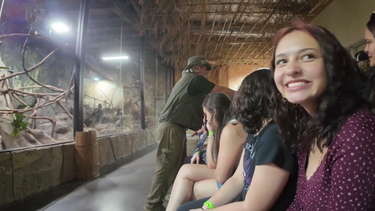 Rainforest Adventure Zoo Complete Walkthrough 2025