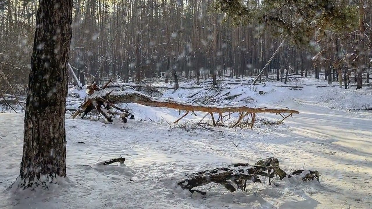 Зимова казка