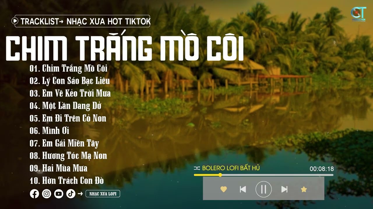 Chim Trắng Mồ Côi, Thương nghe câu mái đẩy nhớ... LK Nhạc Bolero Lofi Miền Tây Của Phạm Thiêng Ngân