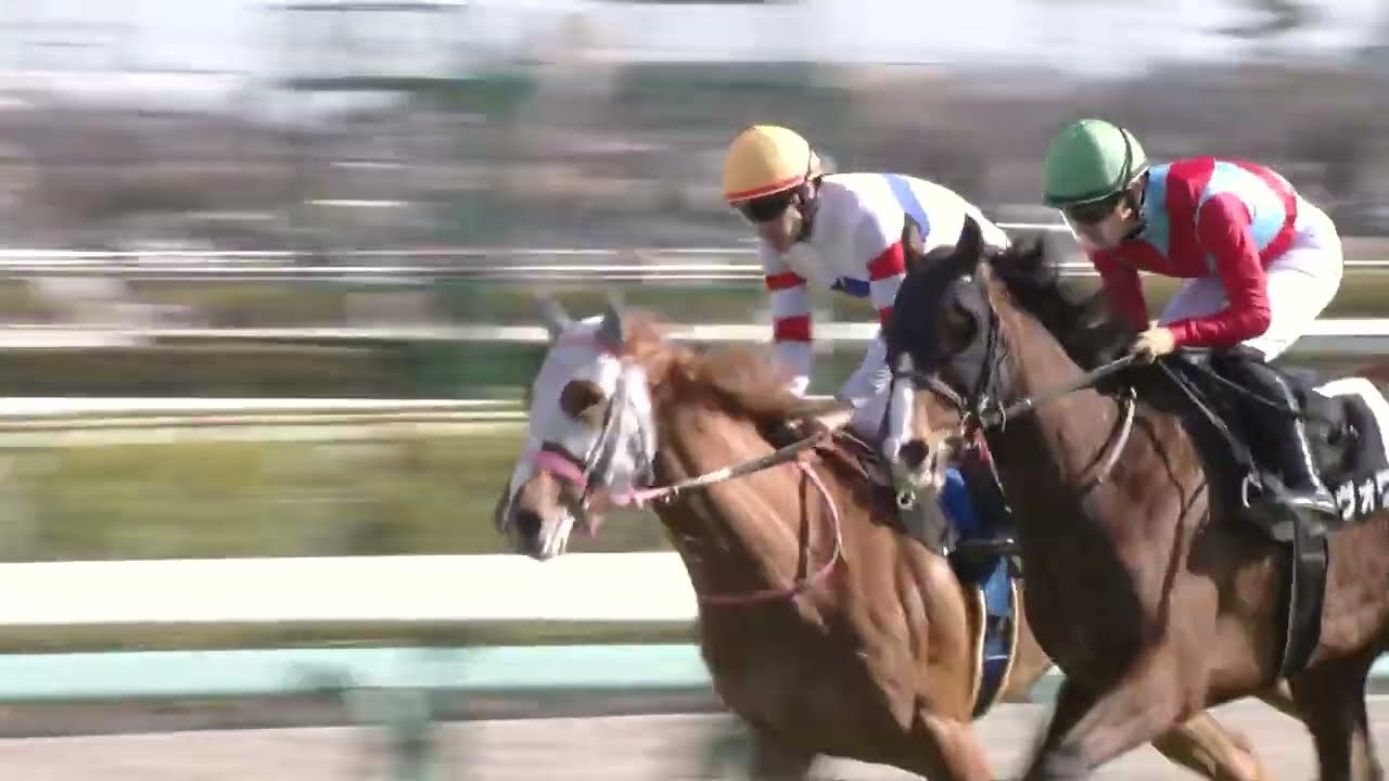 【レース映像】中山9R 房総特別｜テンミラクルスター（C.ルメール）｜ウイニング競馬